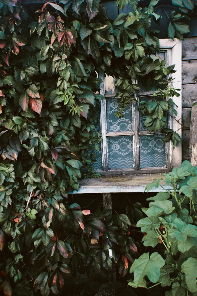 Photograph by Надежда