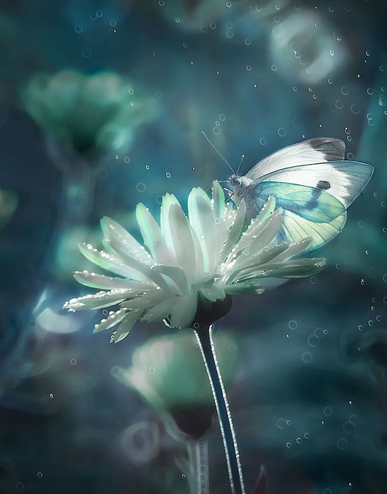 Photograph by Полина Васеева