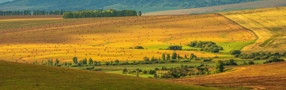 Алтайская осень.