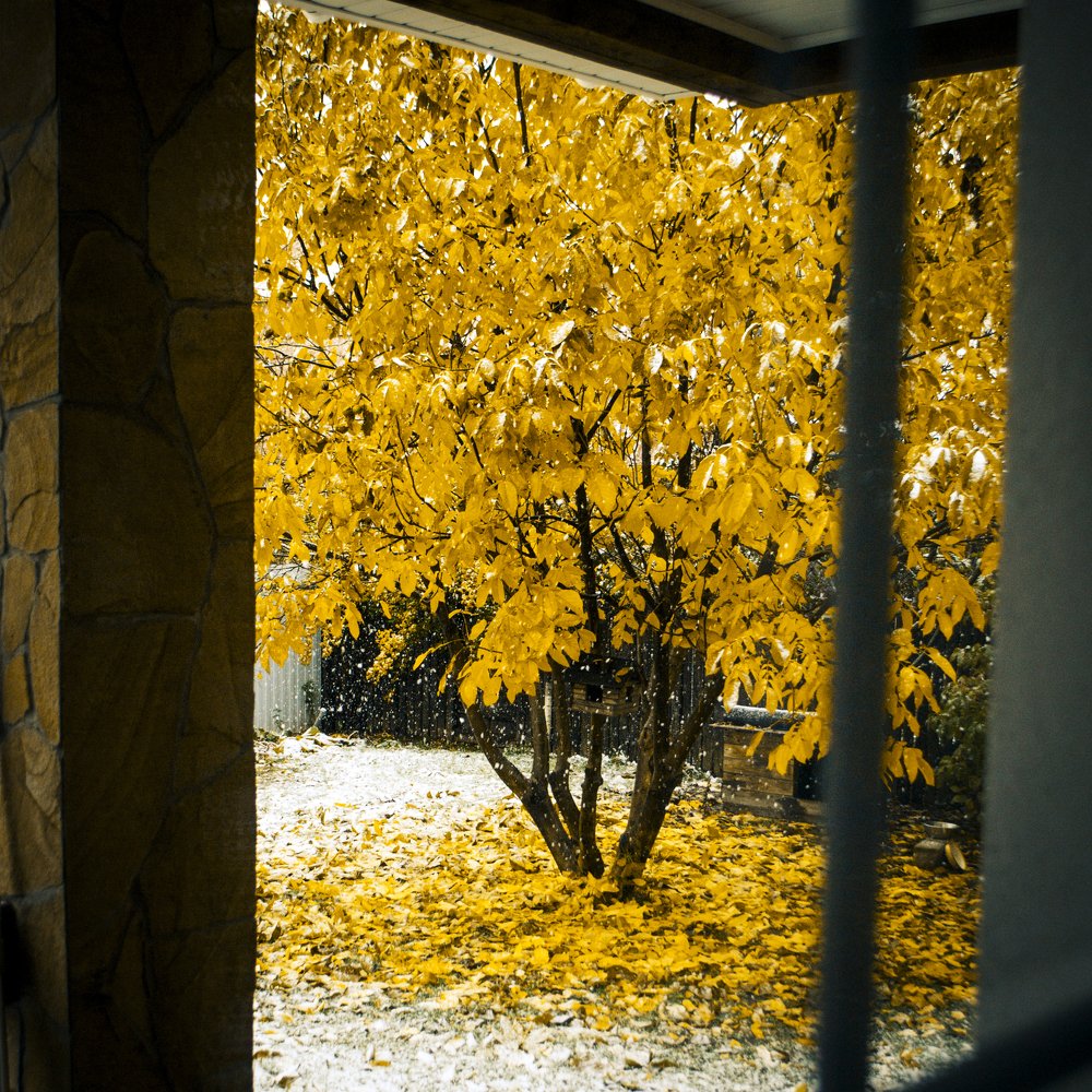 Photograph by Юля Горбунова