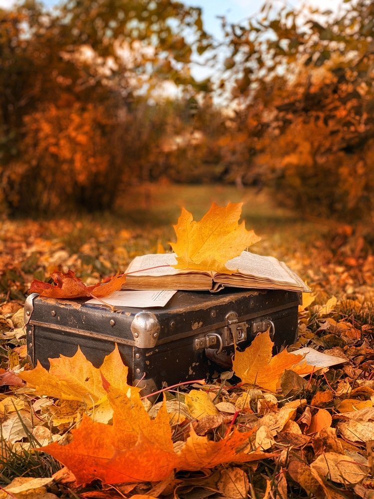 Проводы осени