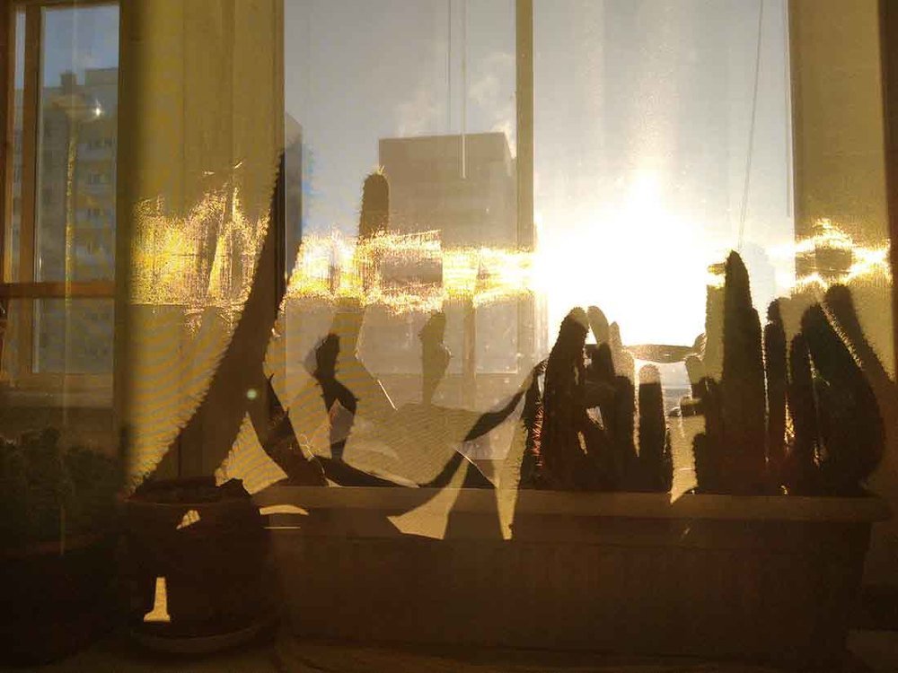 Photograph by Игорь Пшеничников