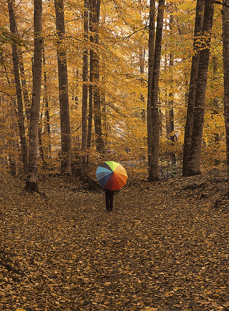 Photograph by Gülhiz Arslan Öztürk