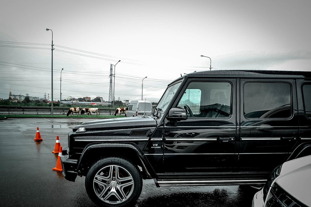 Photograph by Розита Гильманова