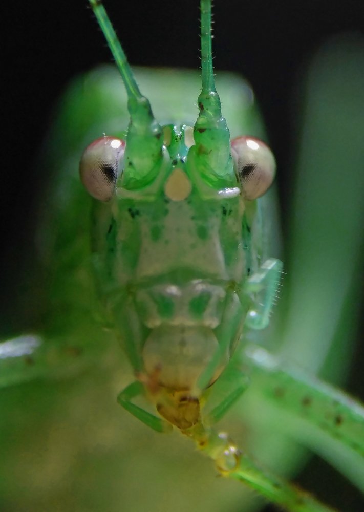 Photograph by Bistupada Mondal