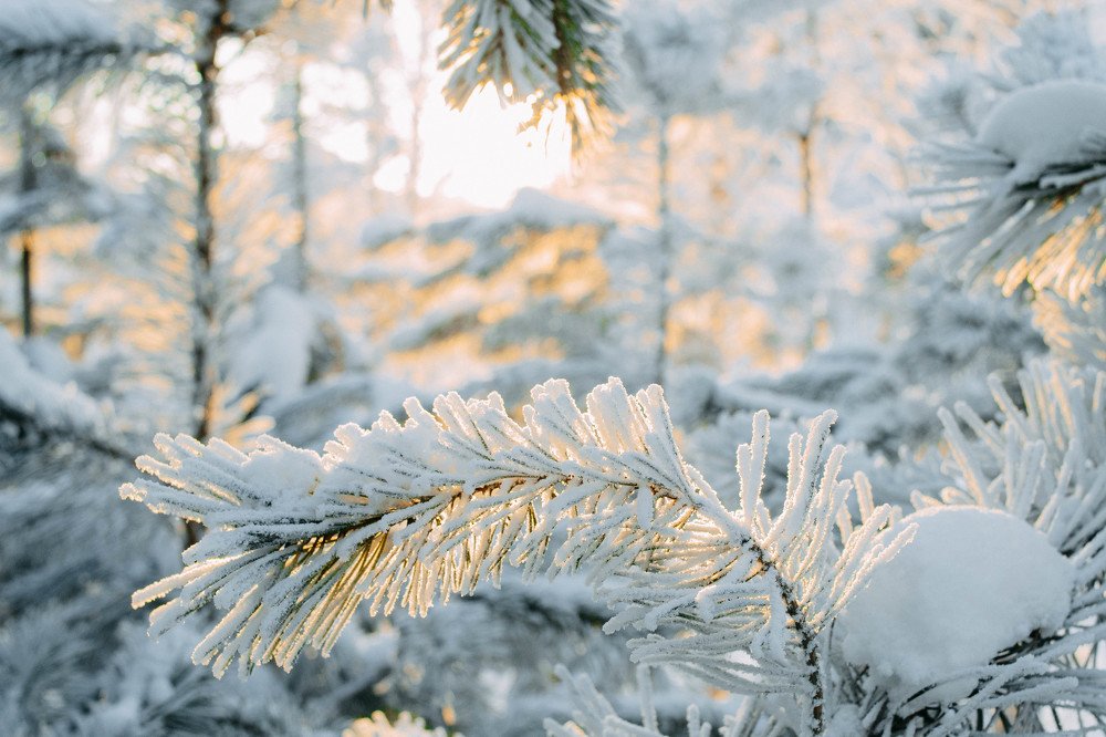 Photograph by Розита Гильманова