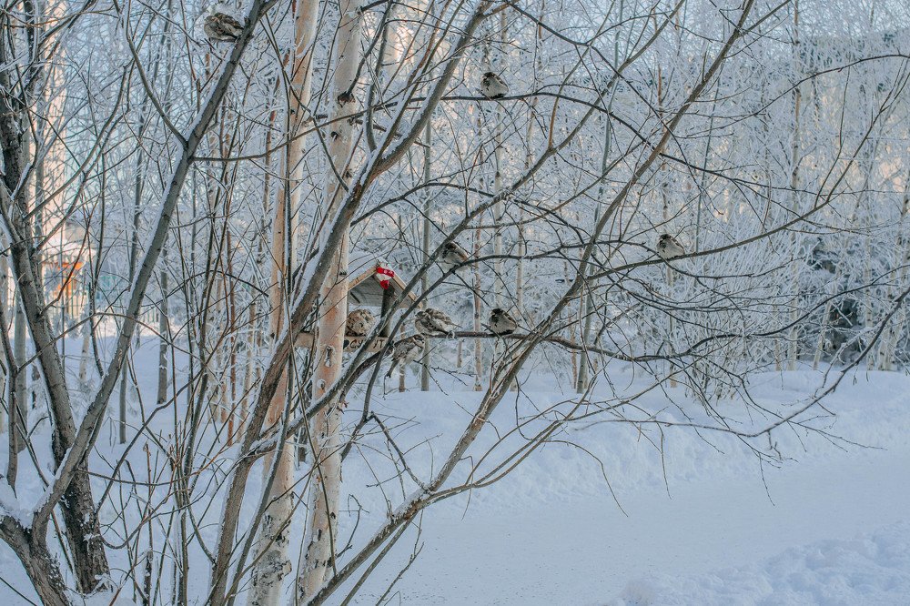 Photograph by Розита Гильманова