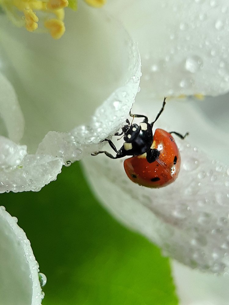 Photograph by Inessa Botasheva