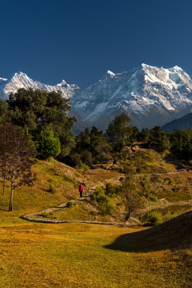 Photograph by Bibhas Deb