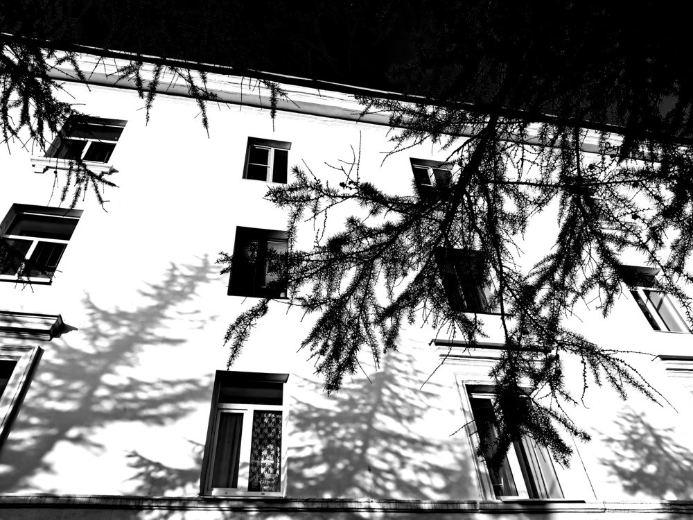 Чёрной чёрной ночью, на чёрной чёрной улице...