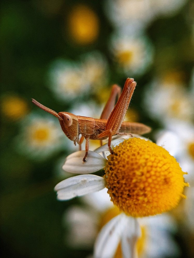 Photograph by Ольга Веселова