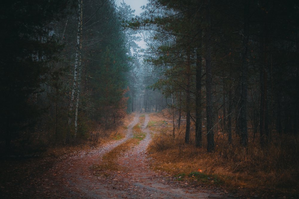 Photograph by Иван Полиненко