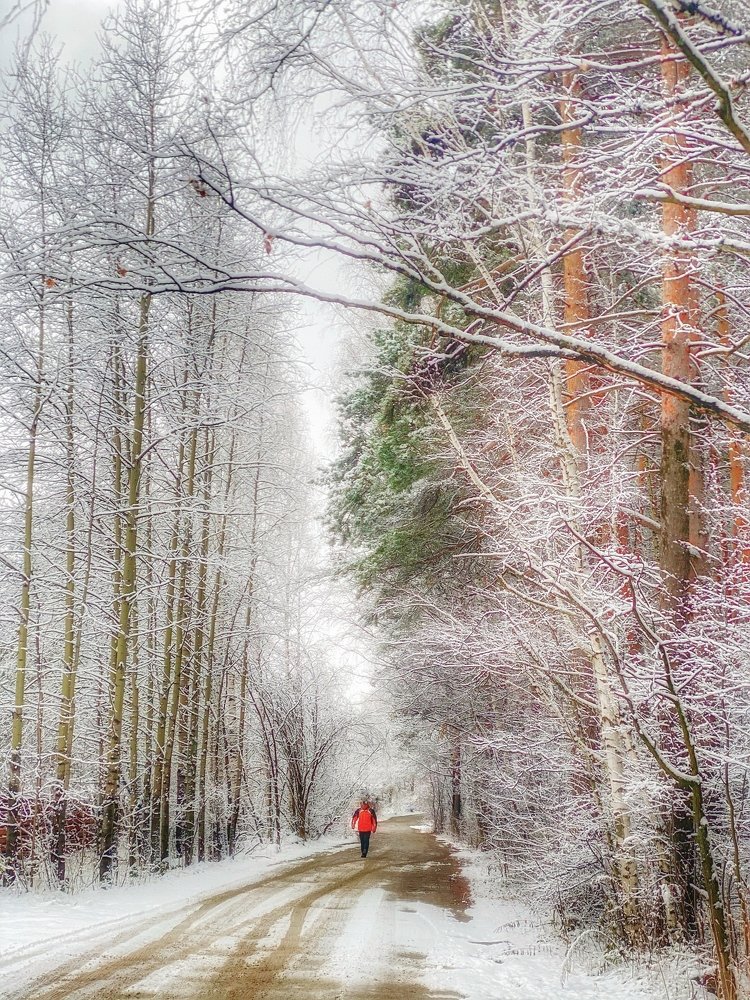 Первый снег