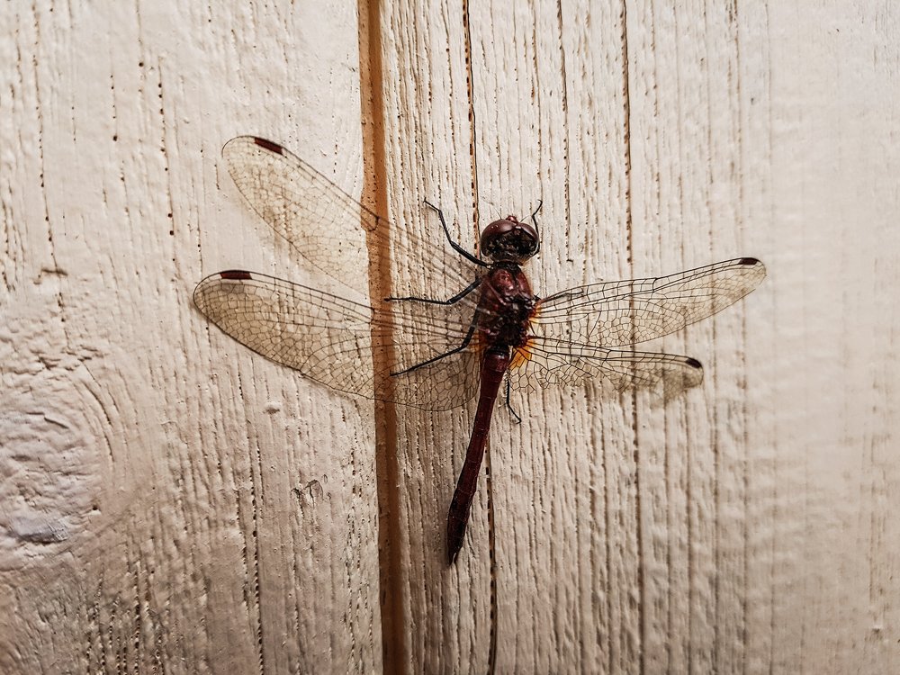 Photograph by Юля Горбунова