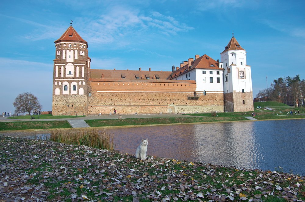 Фотография автора Виталий Терлюкевич