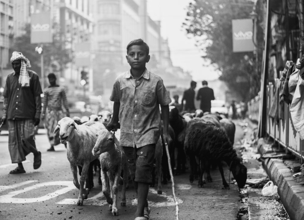 Photograph by Subhasis Paul