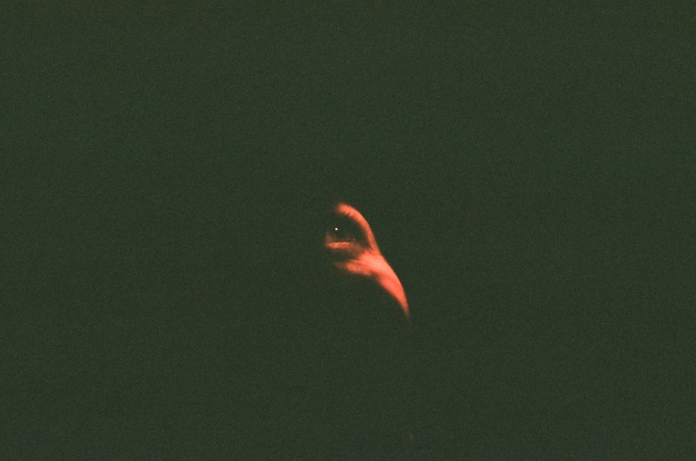Photograph by Анна Елагина
