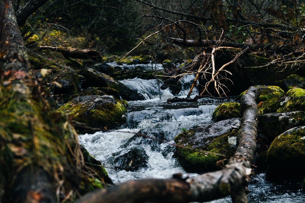 Photograph by Gerasimova Darina