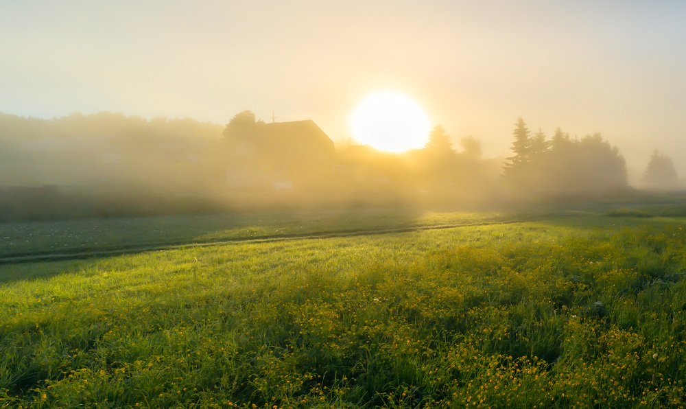 Photograph by Алексей Егорычев