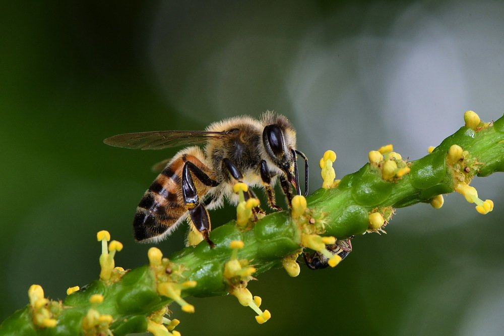 Photograph by Moura Denis