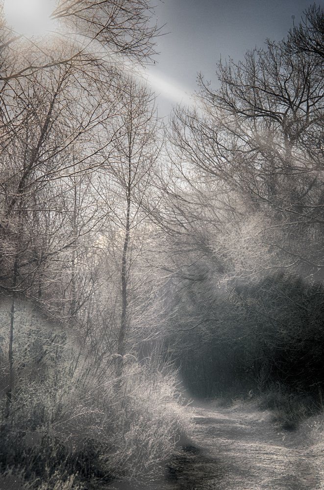 Photograph by Илья Тюрин