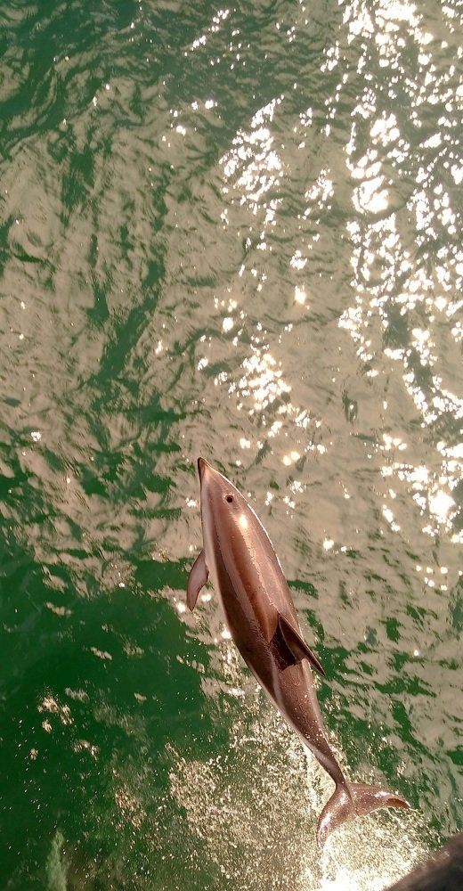 Photograph by Ivan Karavka