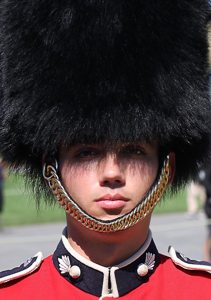 Гвардеец Парламентского караула