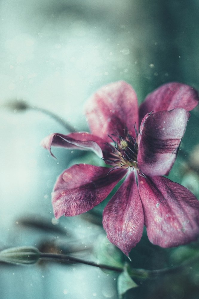 Навстречу неизвестности с сердцем на распашку