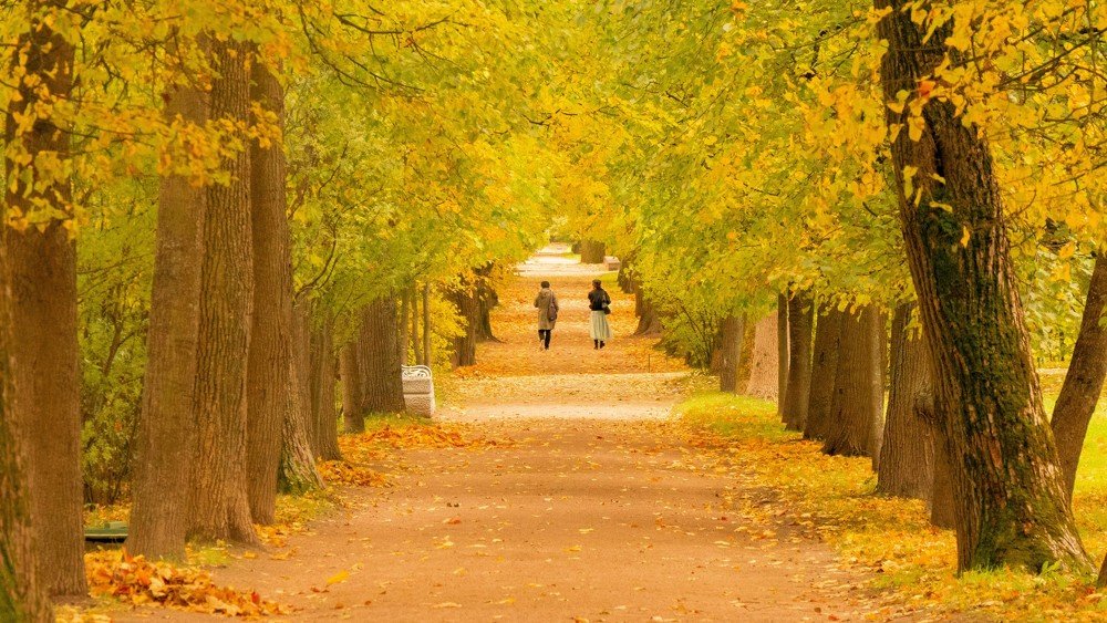 Photograph by Юрий Упаловский