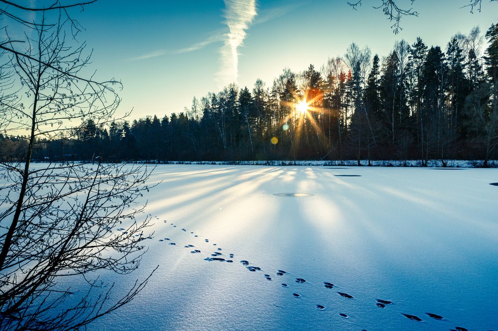 Photograph by Виктор Купреенко