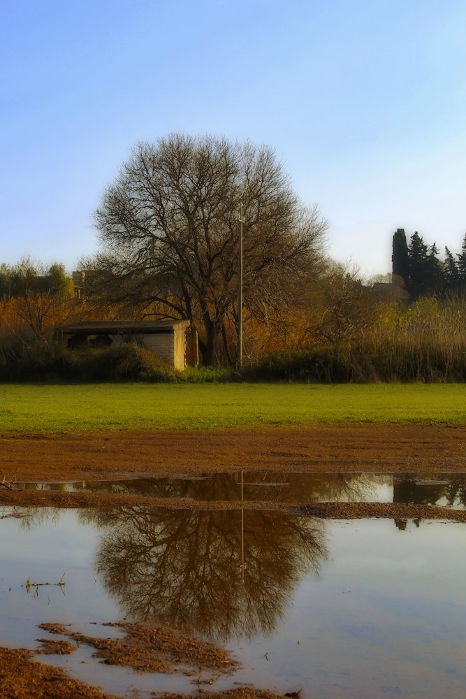 Photograph by Maria Cristina Artale