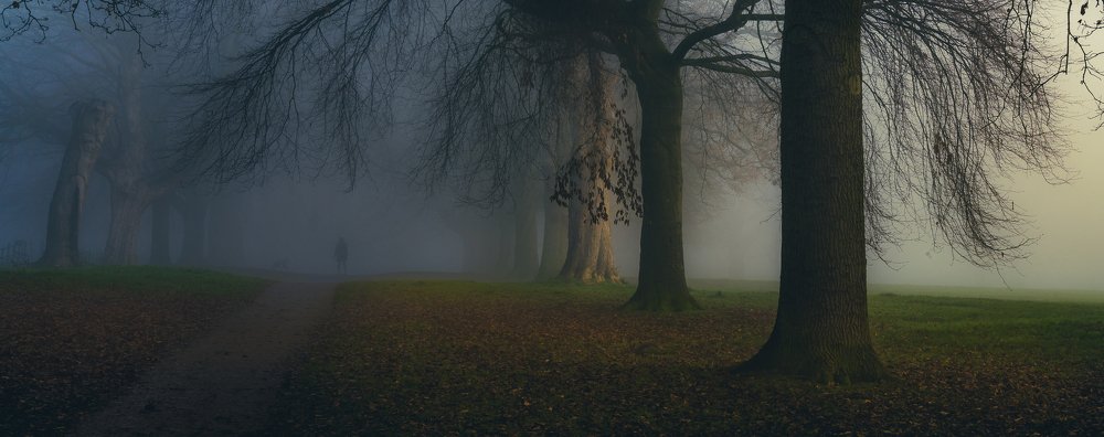 Photograph by KRZYSZTOF JAKUBAS