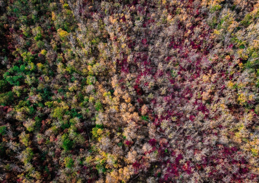 Photograph by Максим Королёв