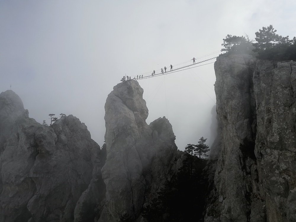 Photo #5356361