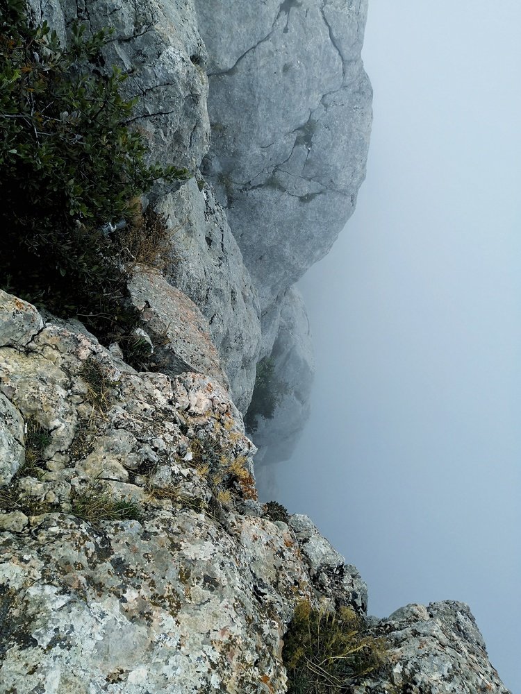 Photo #5356363