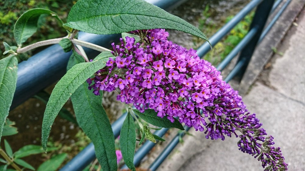 Photograph by Xenia Newman