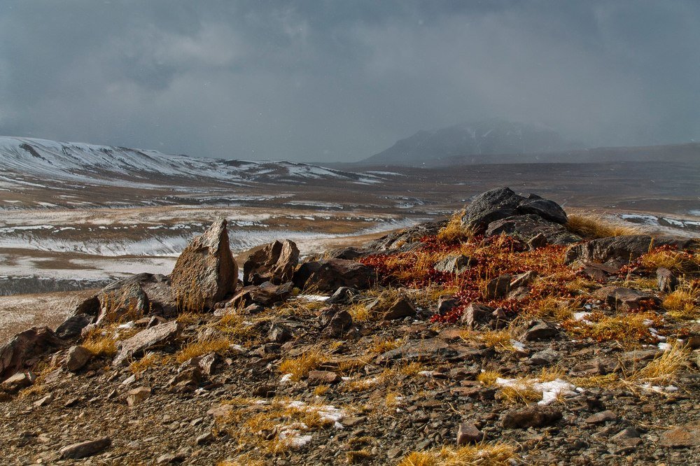 Photograph by Gerasimova Darina