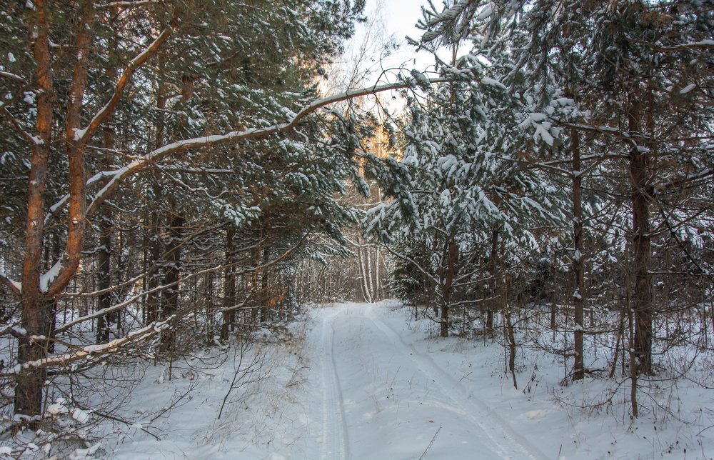 Photograph by Александр Халимов