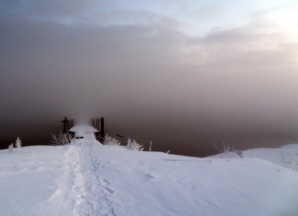 Photograph by Сергей Дружаев