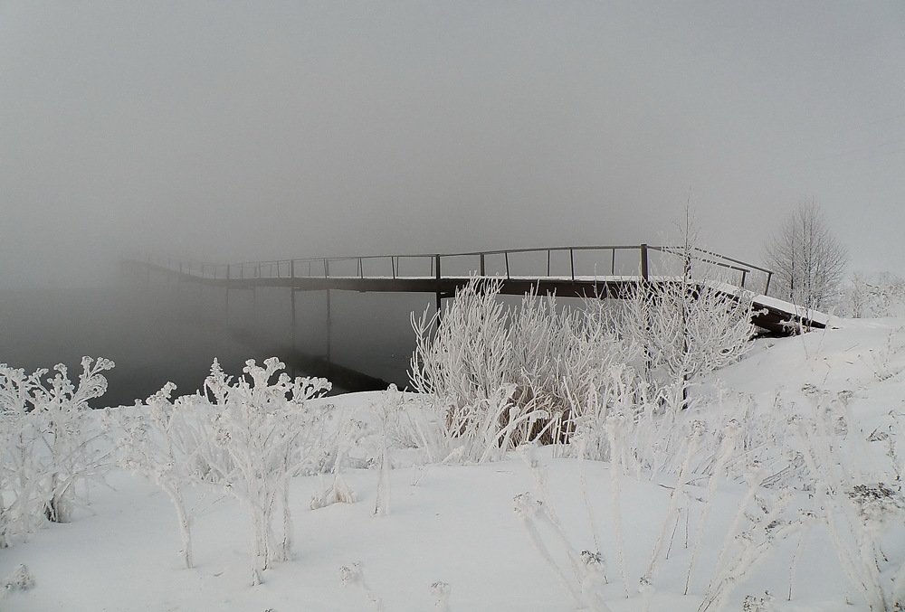 Photograph by Сергей Дружаев