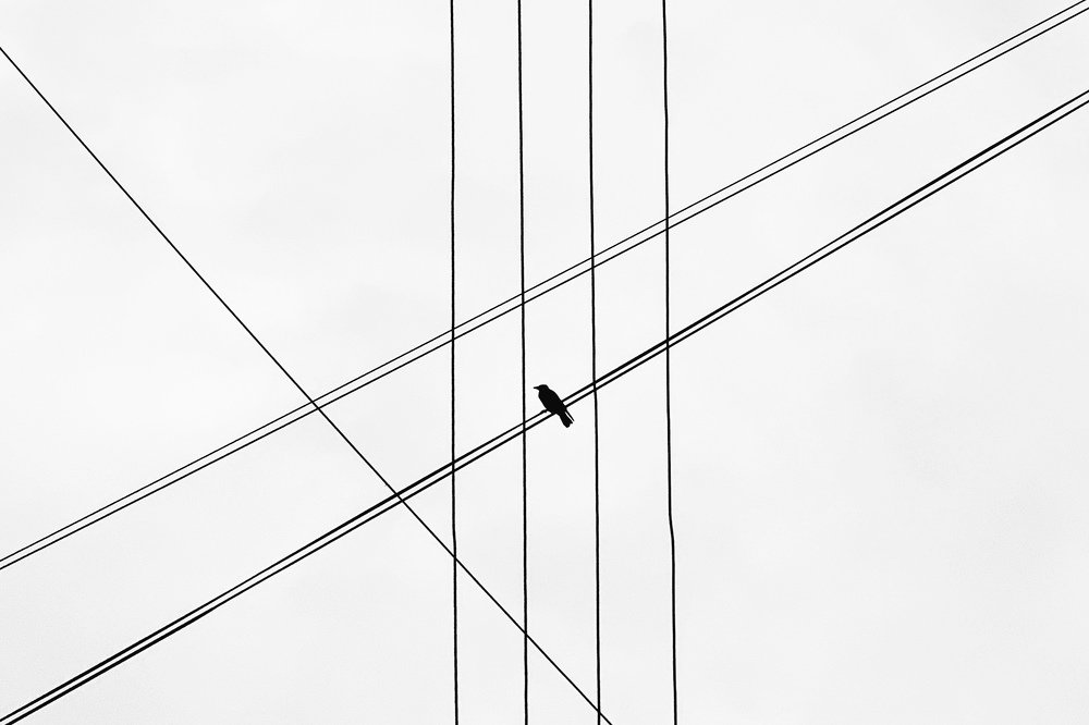 Photograph by Ирина Тимонина