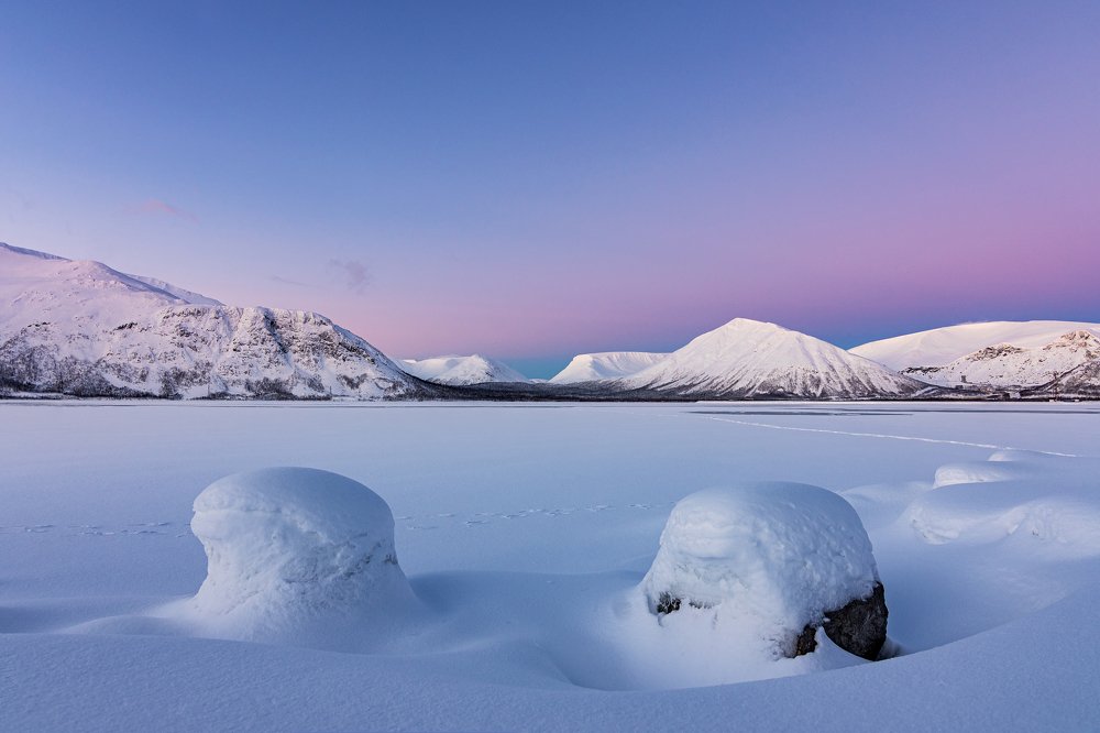 Розовый вечер