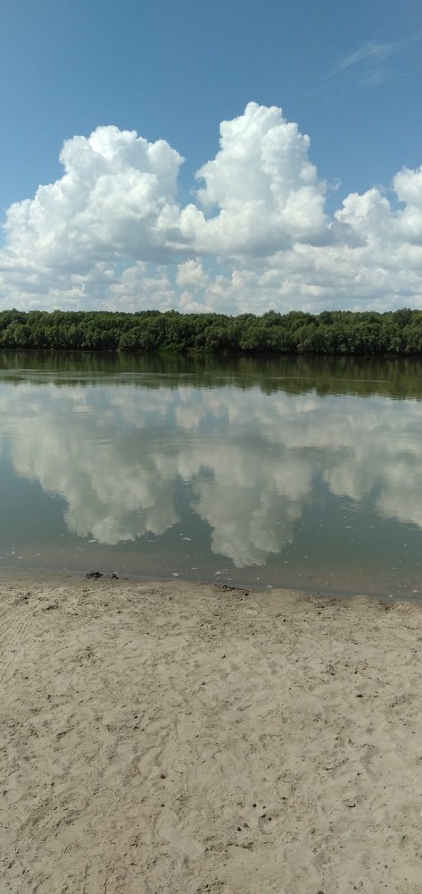 Photo #5356512
