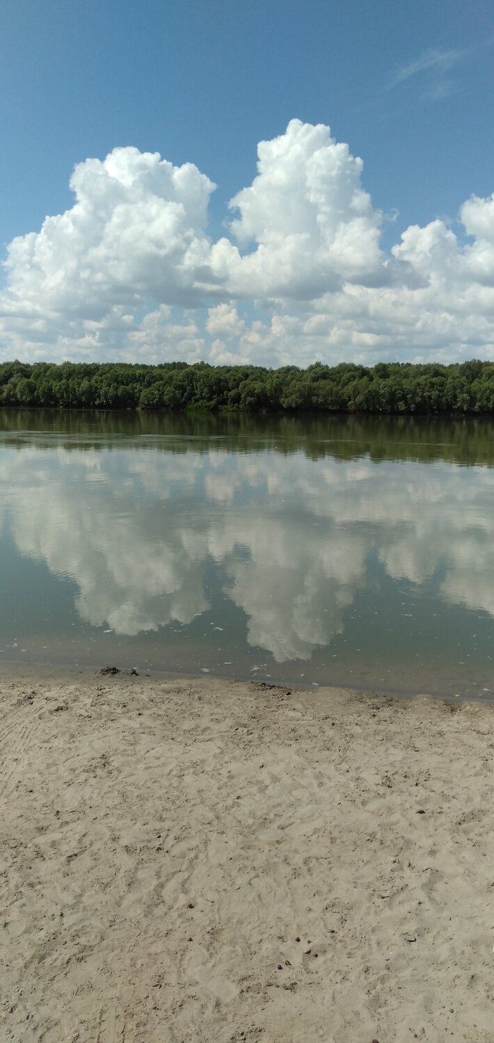 Photo #5356512