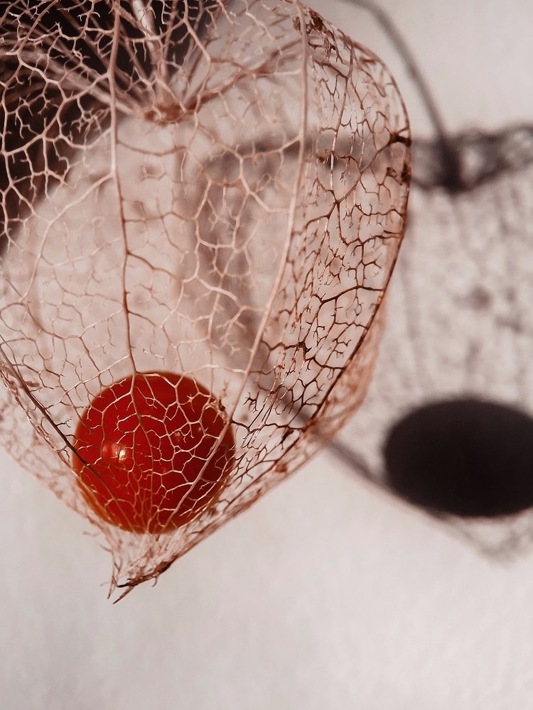 Photograph by Наталья Мальцева