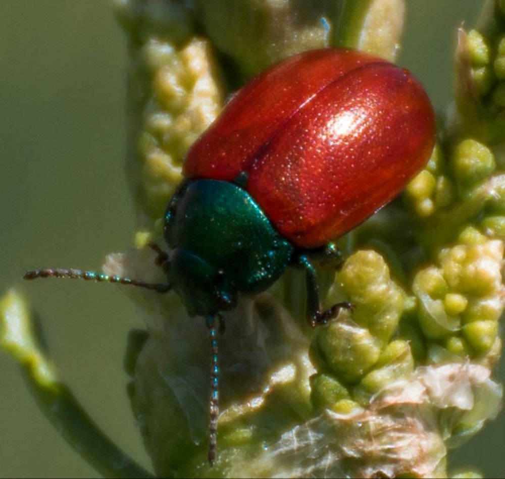 Photograph by Elham Khanpour