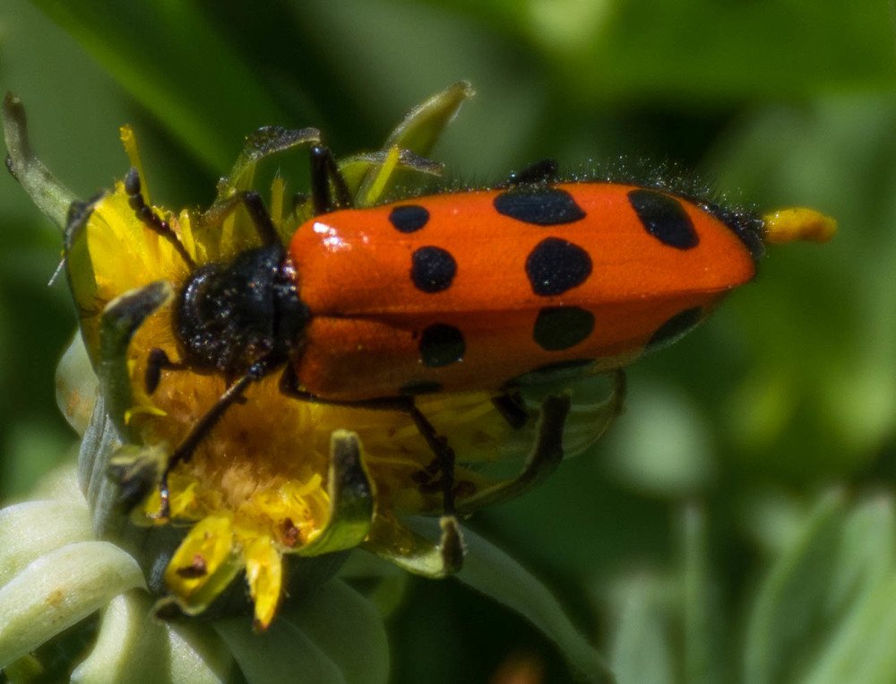 Photograph by Elham Khanpour