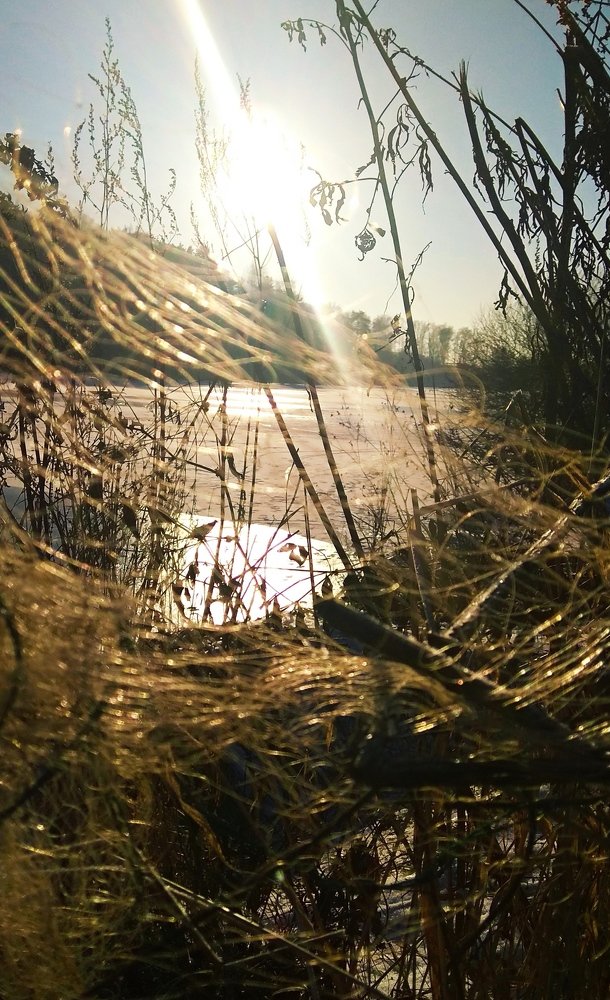 Photograph by Мария Бербега