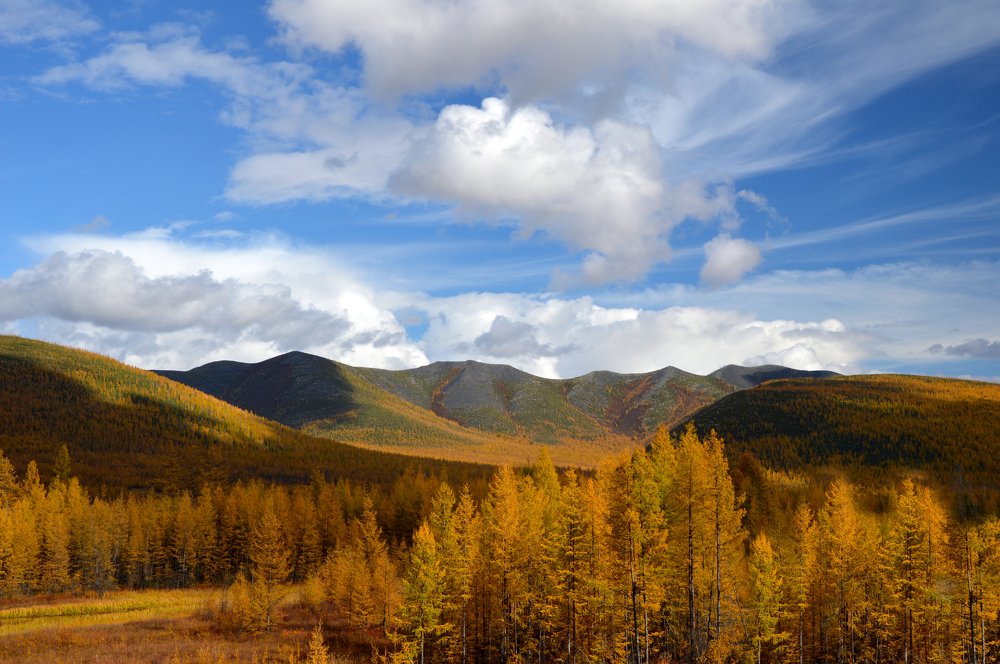 Колымская осень