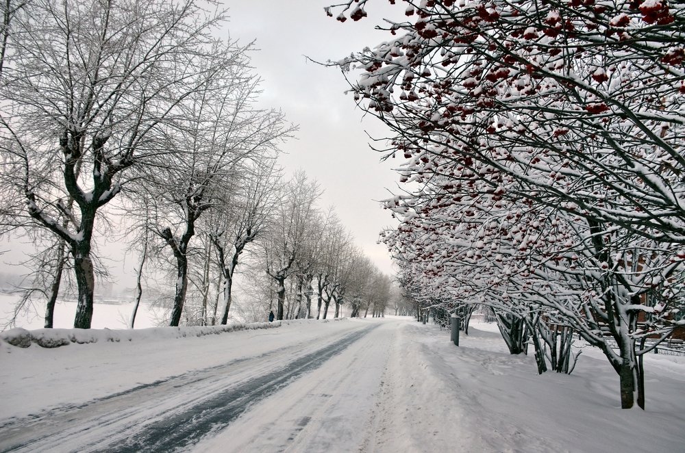 Photograph by Николай Соколовский